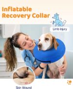 dog gift box - Professional Guide and Review