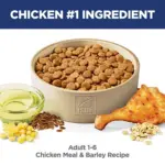 Adult Dog Food Chicken-Hill's Science Diet