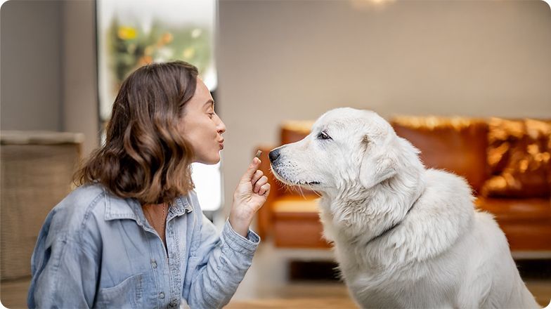 cat litter - Professional Guide and Review