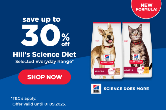 condo cat - Professional Guide and Review