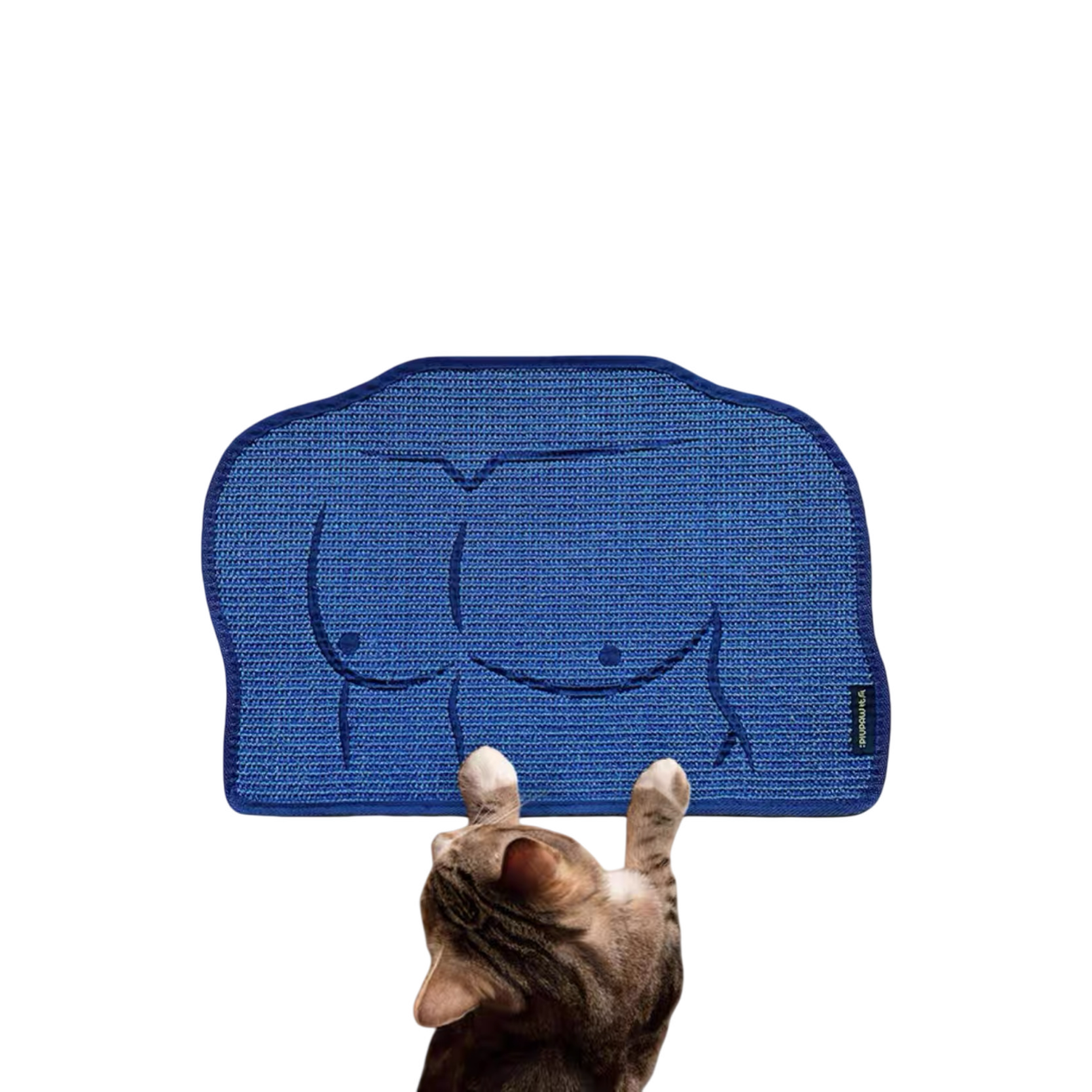 large cat litter box side-by-side comparison