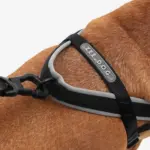 SofterWalk No Pull Dog Harness | Gotham - Image 10