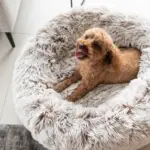 Curl Up Cloud Calming Dog Bed, Sable - Image 7
