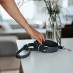 Hunter Dog Collar Amalfi, Blue - Image 6