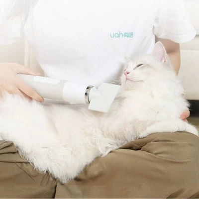 waterproof dog house - Professional Guide and Review