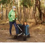 Ibiyaya BigBuddy Pet Stroller and Crate Combo, Crystal Teal - Image 4