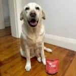 Petz Park Supplement For Dogs | Hip + Joint - Image 9