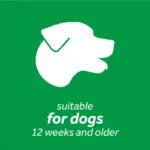 itch spray for dogs - Professional Guide and Review