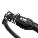 Hunter Rolled Soft Leather Dog Collar, Black - Image 6