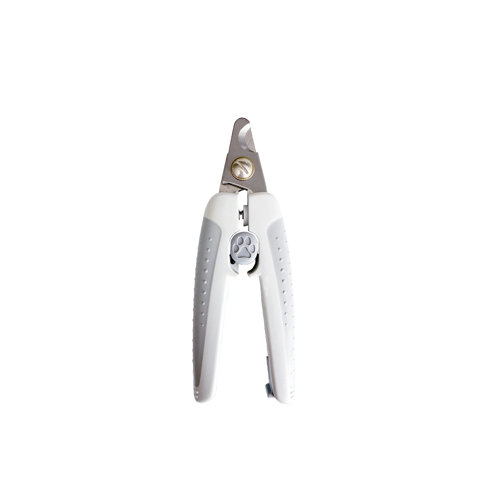 dog nail polish application on small breed using built-in file