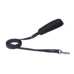 cute cat beds - Professional Guide and Review