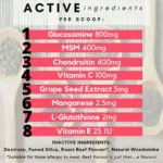 camo puppy collar - Professional Guide and Review