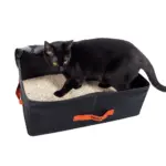 Ibiyaya Poolite Travel Cat Litter Box - Image 4