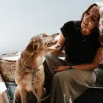 travel dog cages - Professional Guide and Review