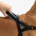 SofterWalk No Pull Dog Harness | Gotham - Image 9
