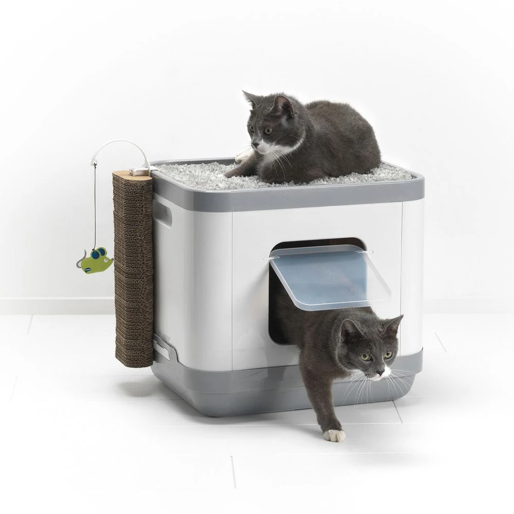 small cat litter pan with 3-in-1 functionality