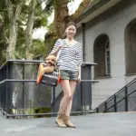 dog buggies and strollers - Professional Guide and Review