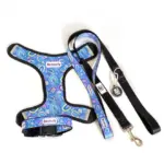 Personalised Pet Harness - Rainbow Dreams - Image 5