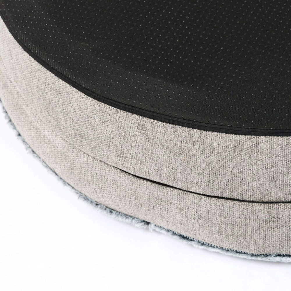 animal grooming brushes - Professional Guide and Review