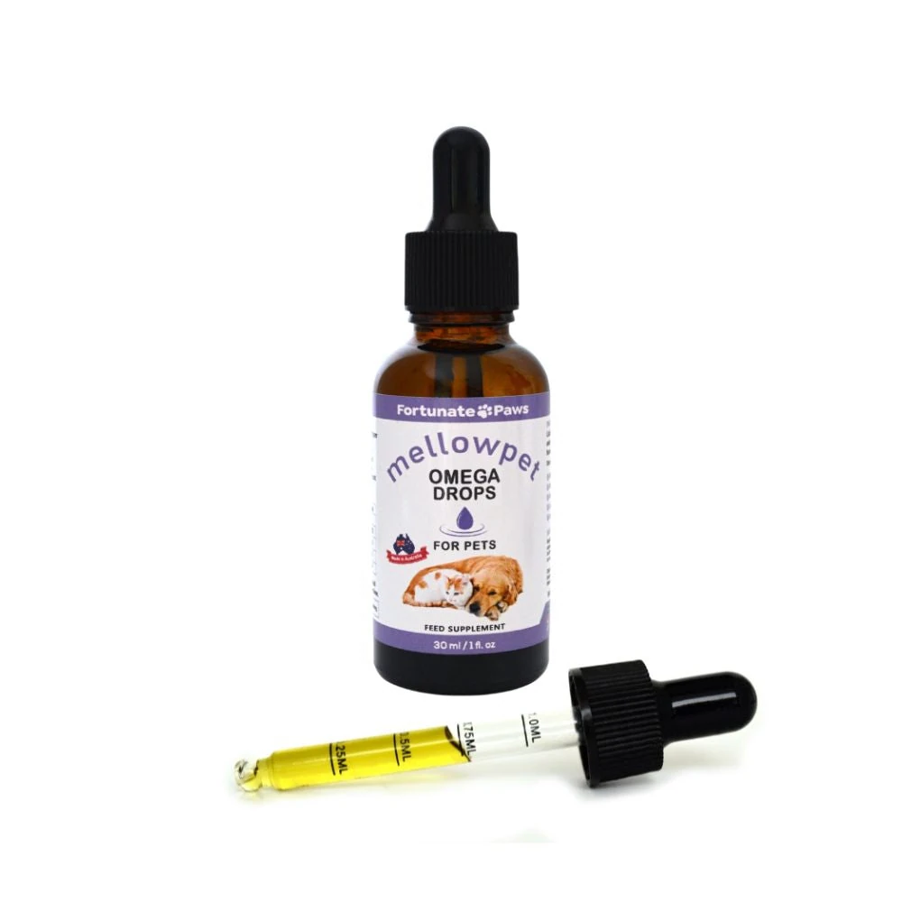 custom dog beds with calming features