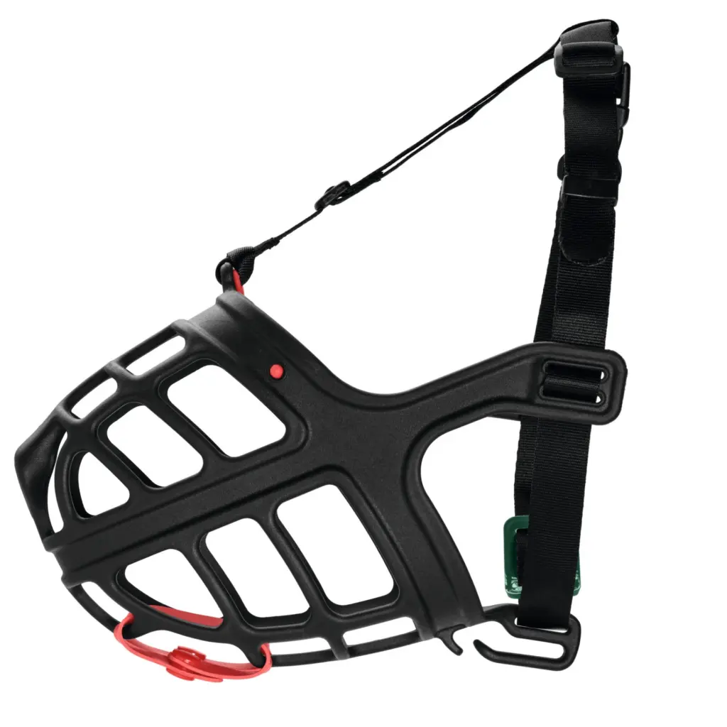 personalised pet gifts australia - Professional Guide and Review