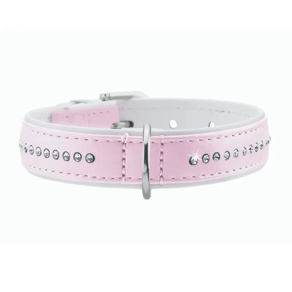 big dog enclosure - Professional Guide and Review