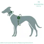 staircase for pets - Professional Guide and Review