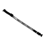 extra large kitty litter tray - Professional Guide and Review