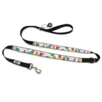 Personalised Dog Leash - Confetti