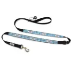 Personalised Dog Leash - Furberry, Blue