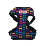 Personalised Pet Harness - Bones - Image 5
