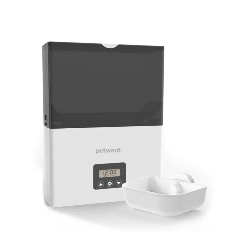 poisonous plants dogs - Professional Guide and Review