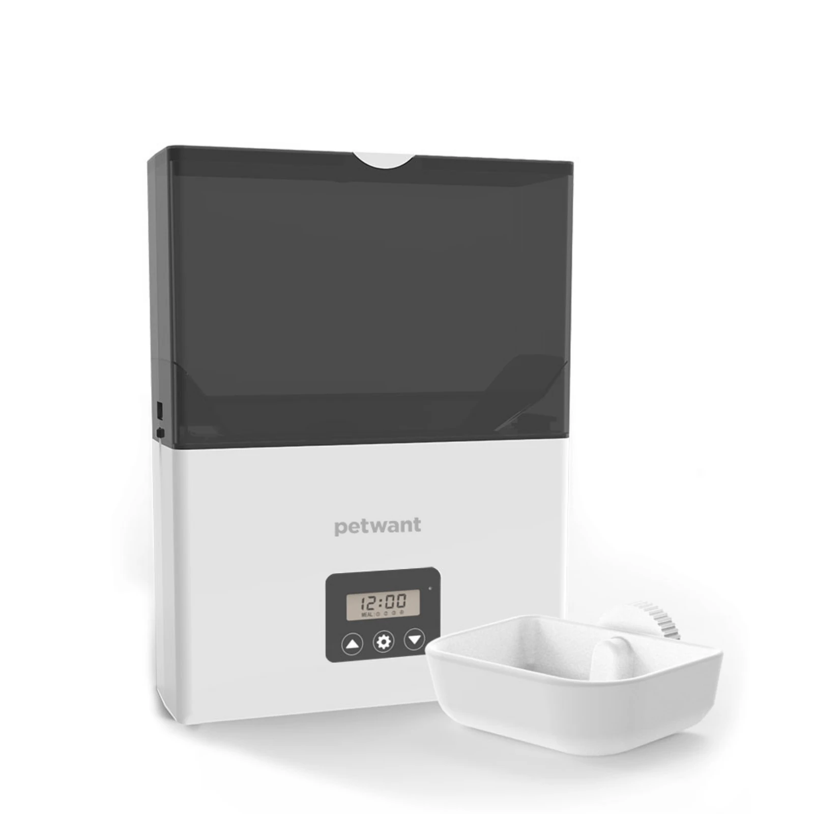 poisonous plants dogs - Professional Guide and Review