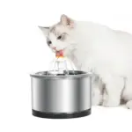 Petwant Stainless Steel Cat Water Fountain - Image 10
