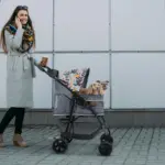 staircase for pets - Professional Guide and Review