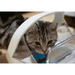 automatic cat litter box australia - Professional Guide and Review