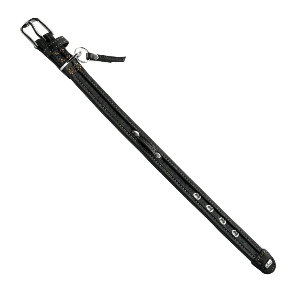 customised dog collar - Professional Guide and Review