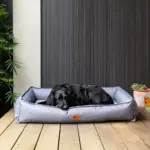 pet steps for large dogs - Professional Guide and Review