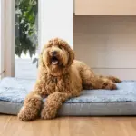 Orthopedic Calming Dog Mat Water Resistant, Artic Faux Fur - Image 7