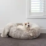 non spill dog water bowl - Professional Guide and Review