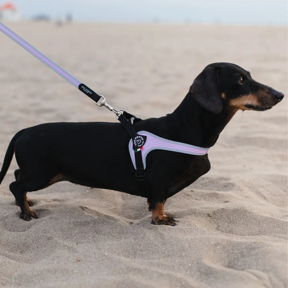 silent groom pro australia motor and ventilation close-up