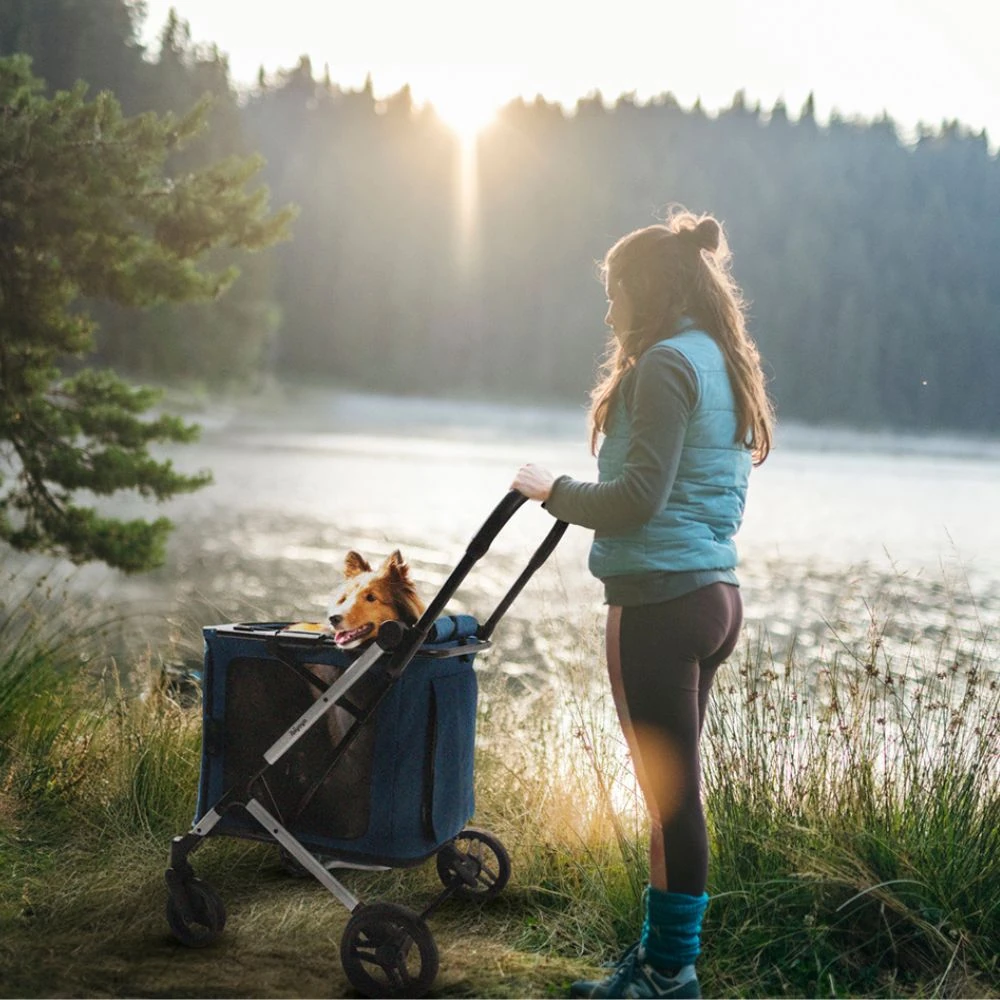 feeder set comparison showing dosing accuracy test