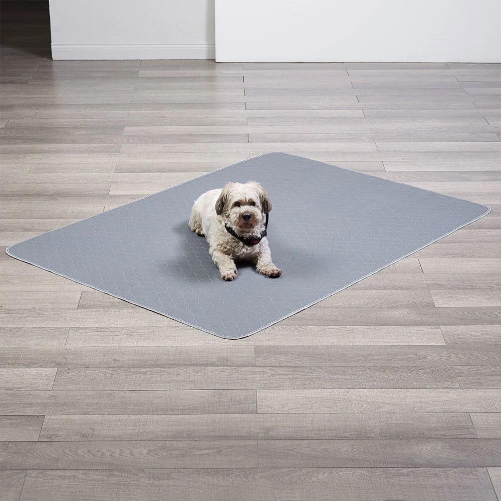 car hammock with washable pet pad