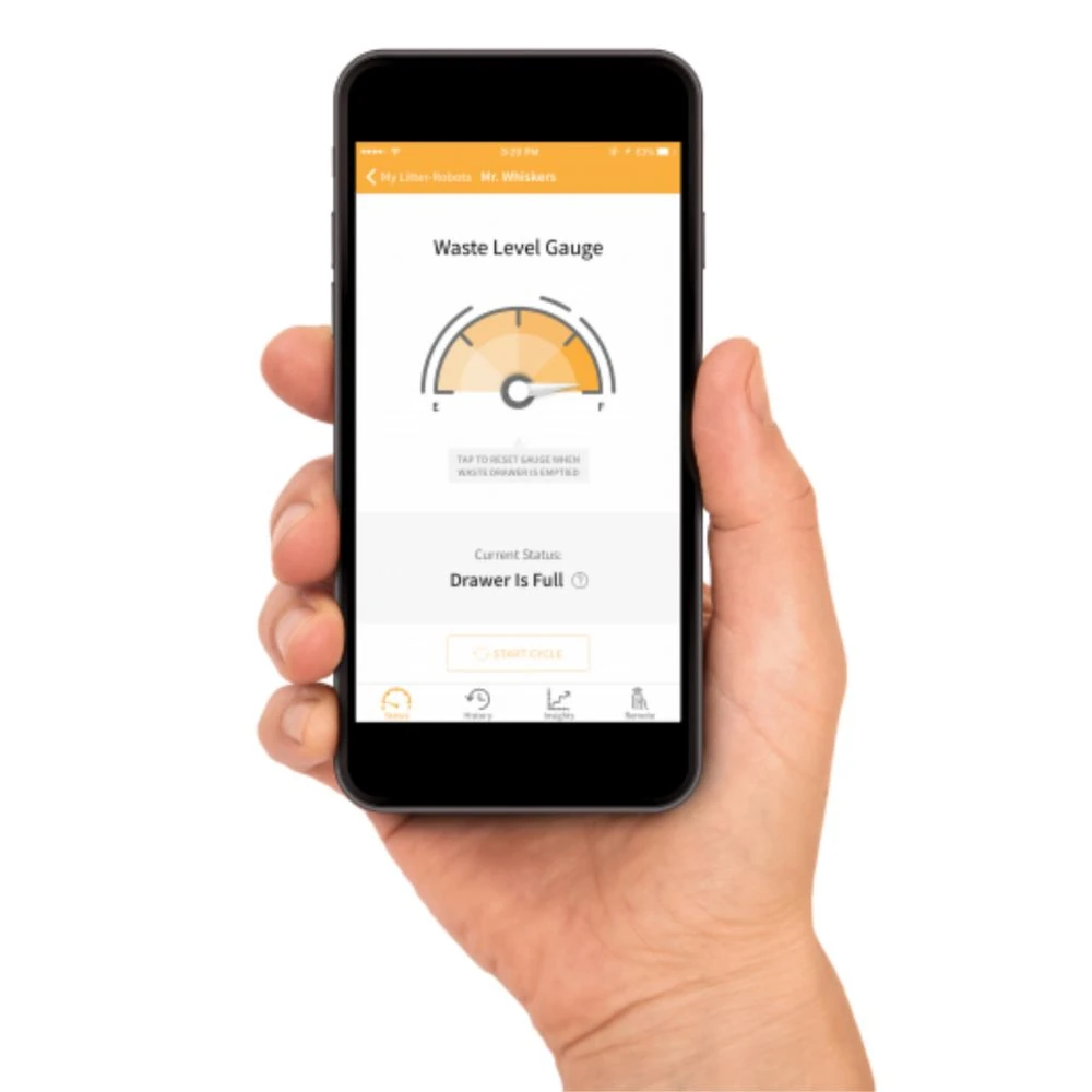 dog leed - Dog leed on beach in Australia