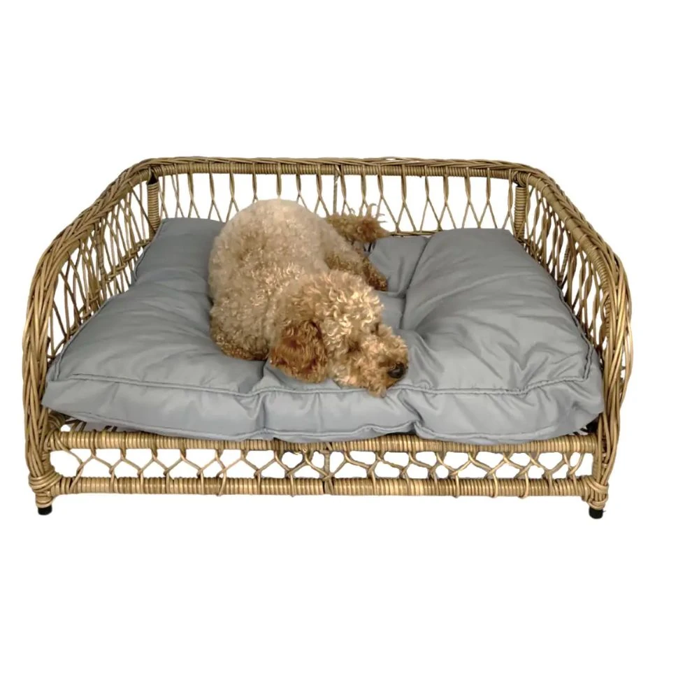wicker dog beds comparison show natural vs poly-rattan