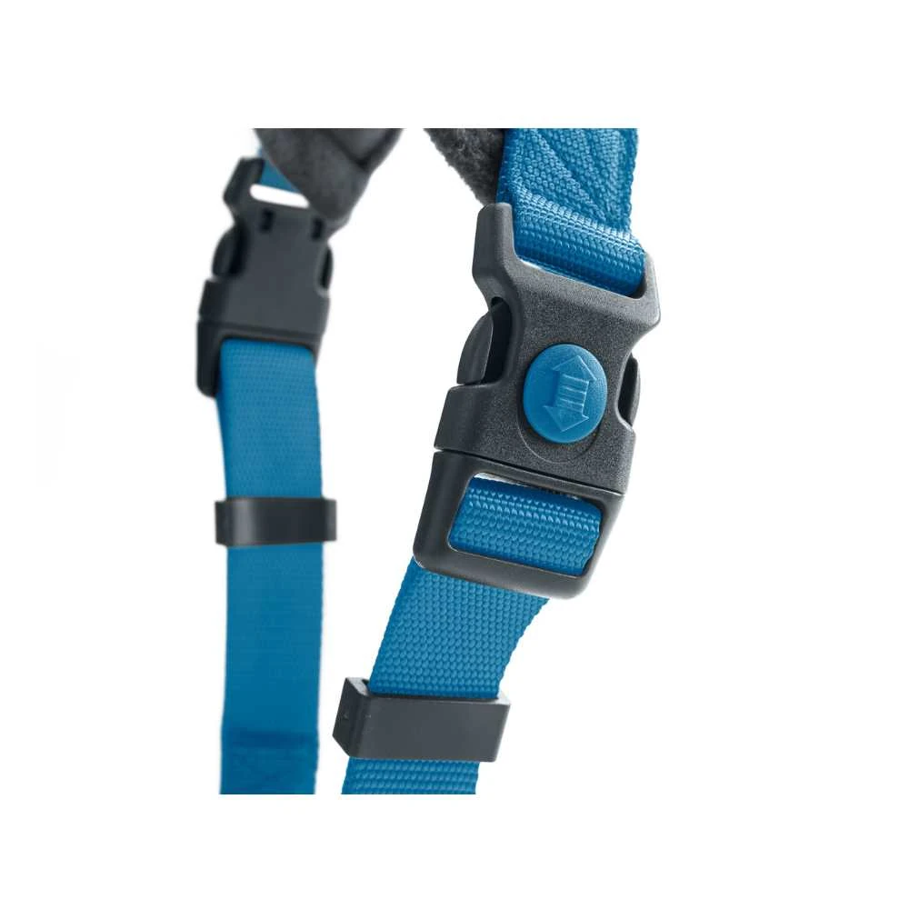 cat accesories product comparison grid showing price per use, eco scores and vet ratings