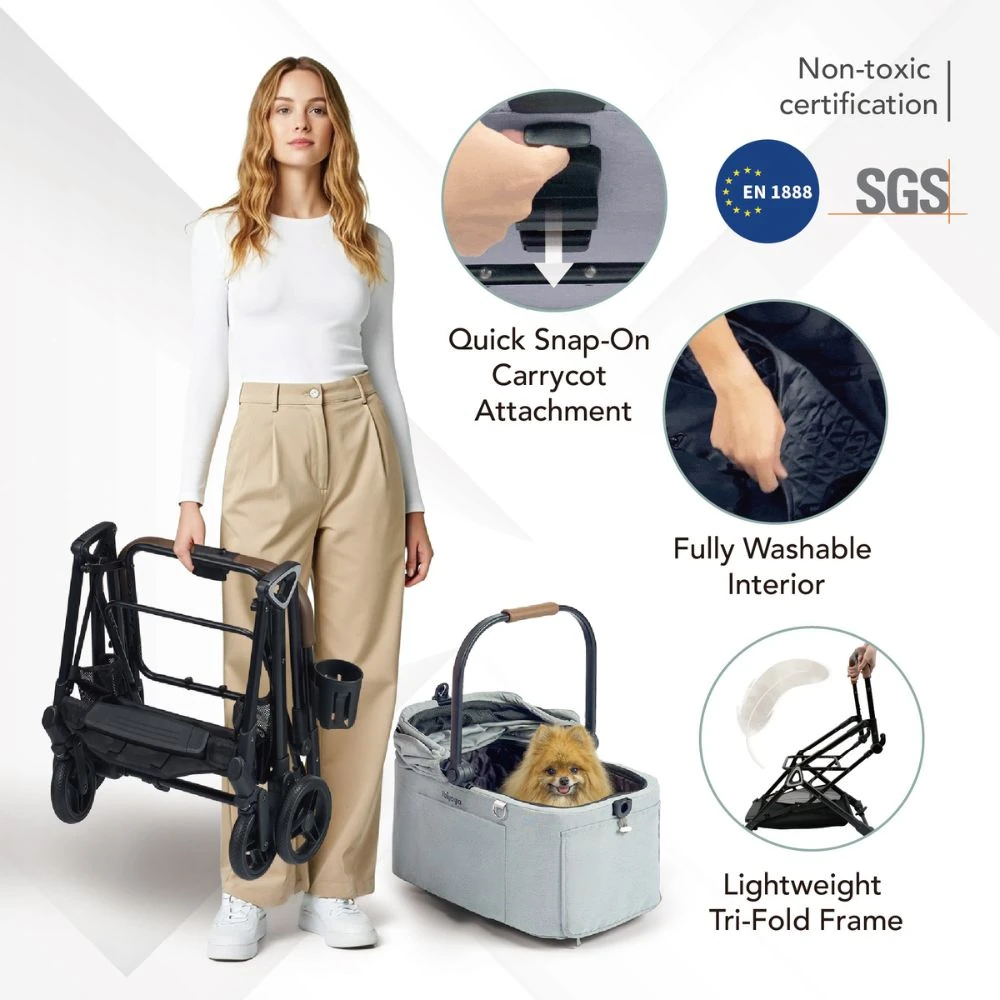 cat wall stairs zig-zag layout above sofa with cat climbing