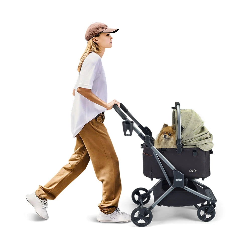 lifted dog food bowls usage tips