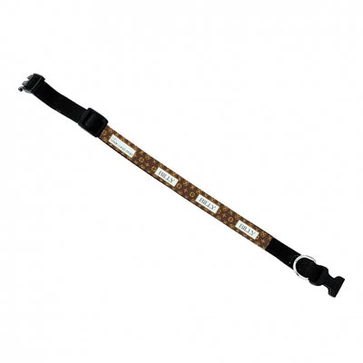 best personalised dog collars australia Spoodle at beach safety scenario