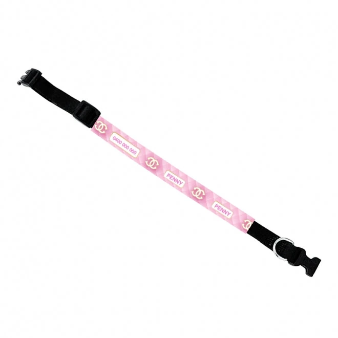 close-up of dog trimmer blades showing teeth geometry and ceramic versus steel edges